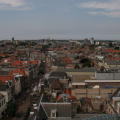 IMG 7239