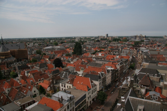 IMG 7240
