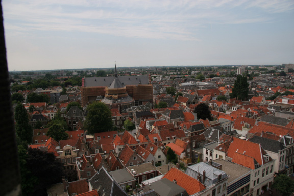 IMG 7241