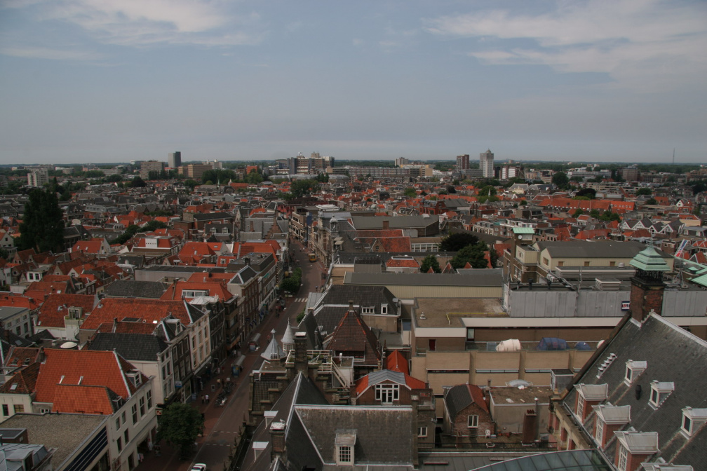 IMG 7242