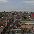 IMG 7242