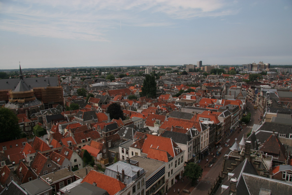 IMG 7243