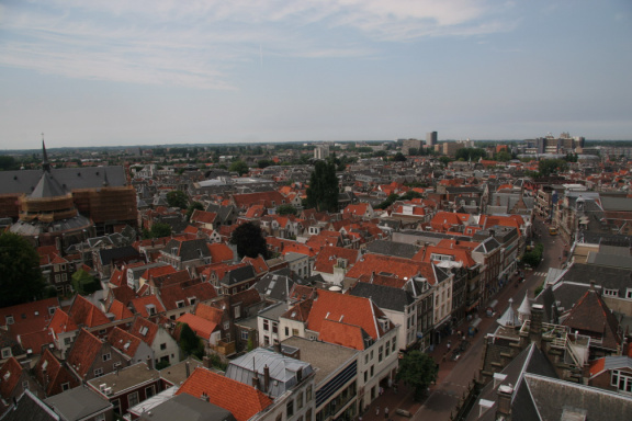 IMG 7243