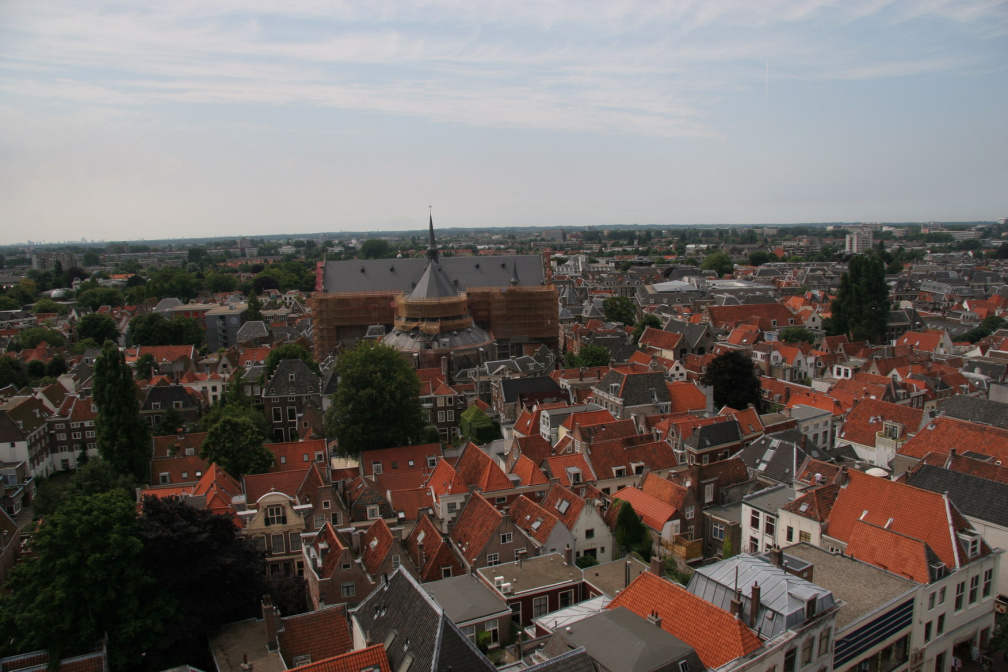 IMG 7246