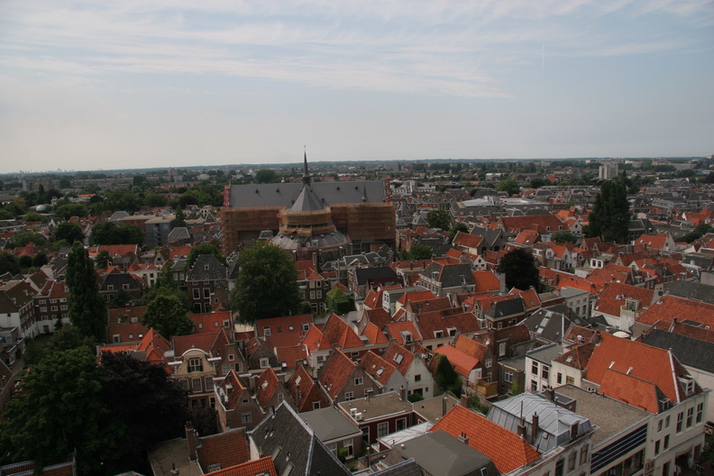 IMG_7246.JPG