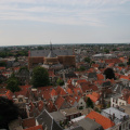 IMG 7246