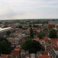 IMG 7247