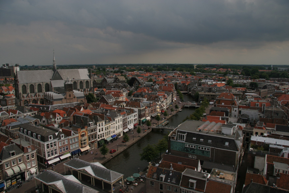 IMG 7255