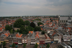 IMG 7260