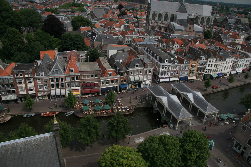 IMG 7261