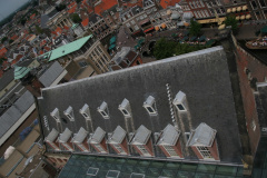 IMG 7269