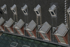 IMG 7270