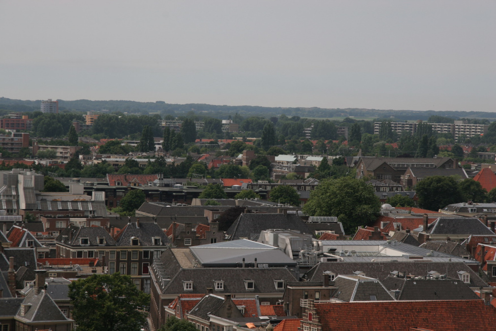 IMG 7284