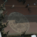 IMG 7287