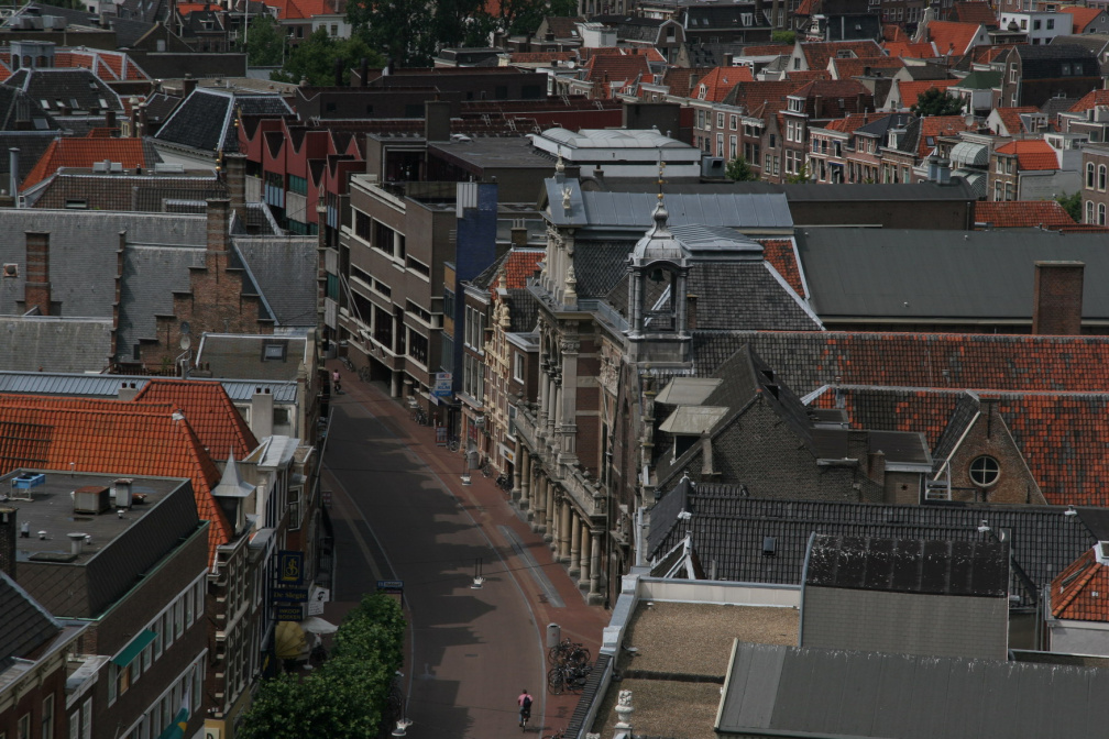 IMG 7288