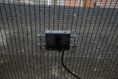 IMG 7297