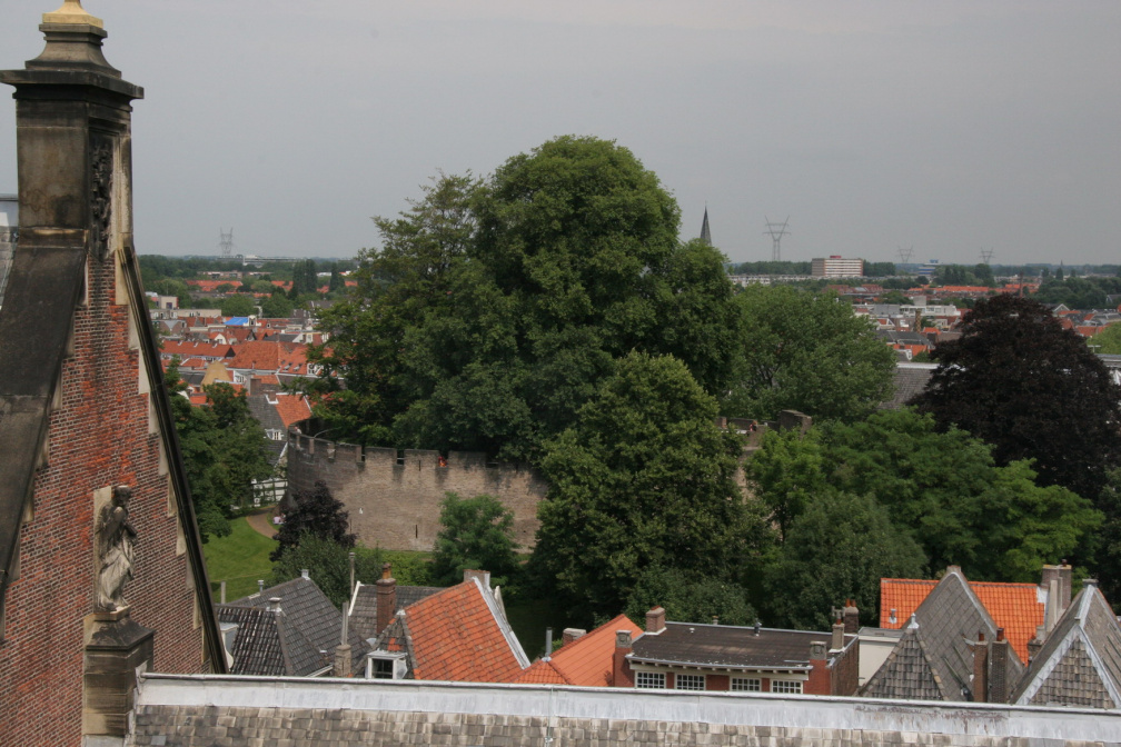 IMG 7303
