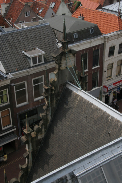 IMG 7305