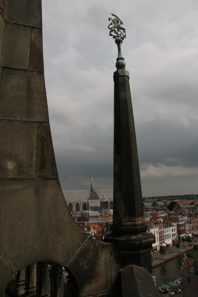 IMG 7307