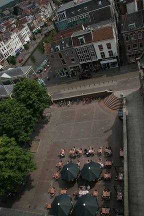 IMG 7310