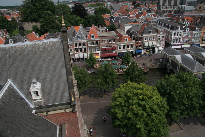 IMG 7312