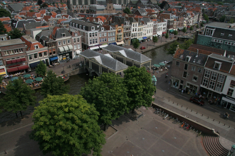 IMG 7313