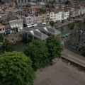IMG 7313