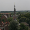 IMG 7316