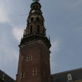 IMG 7338