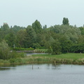 Stenhuis02