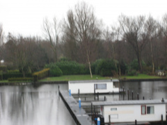 IMG 3921