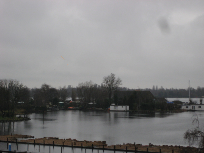 IMG_3923.JPG
