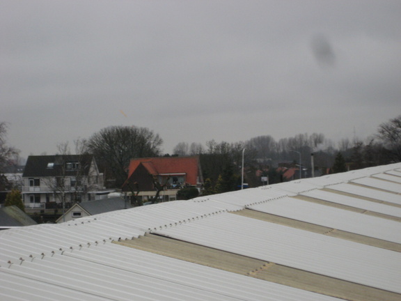 IMG 3929