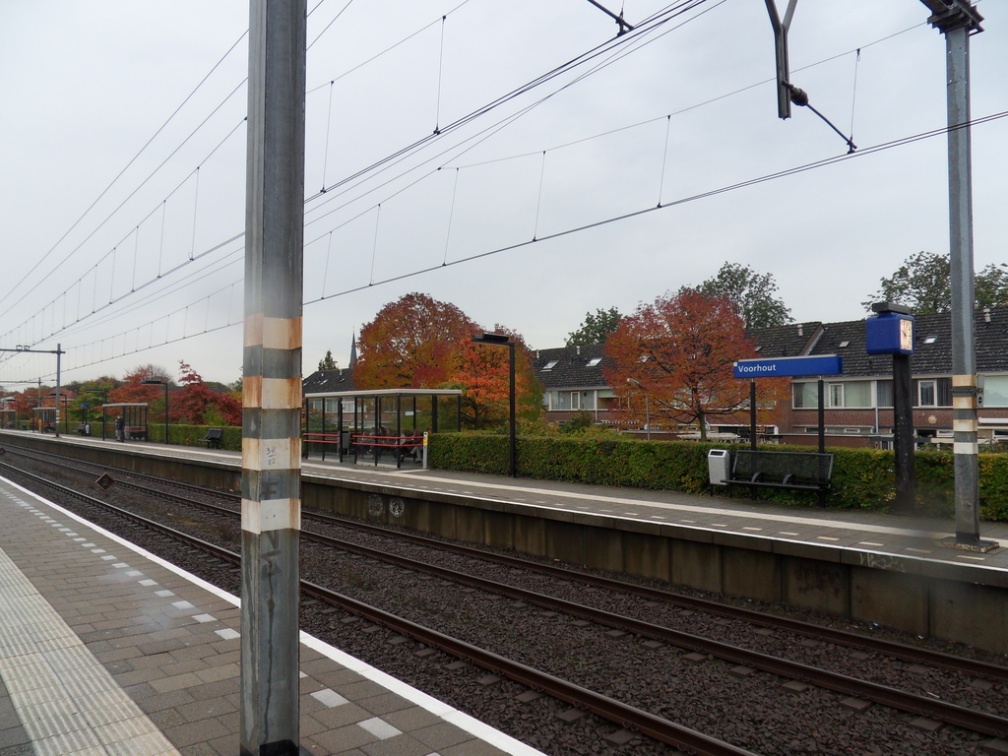 Teylingen-SiteSurvey-2012-015