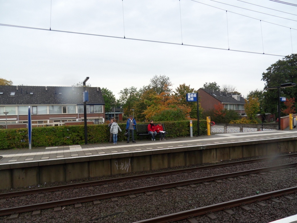 Teylingen-SiteSurvey-2012-016