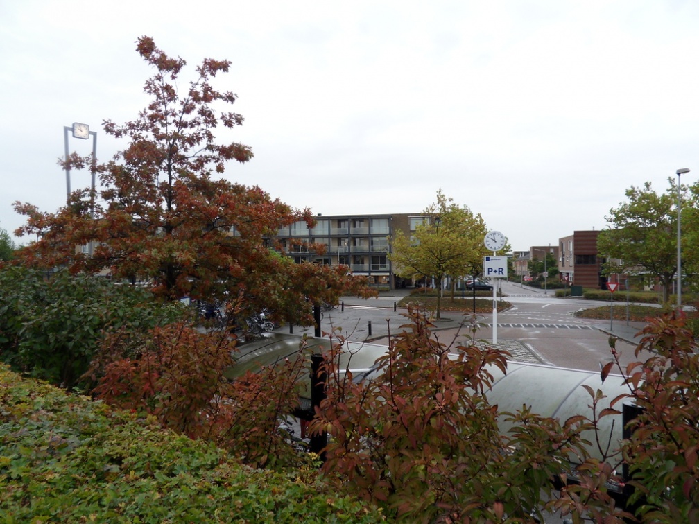 Teylingen-SiteSurvey-2012-017