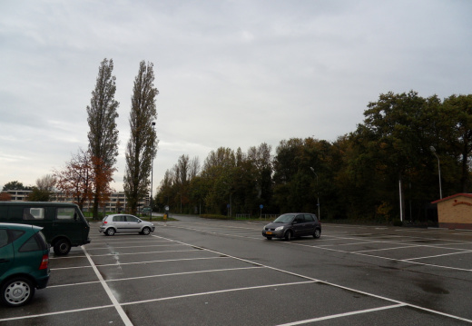 Teylingen-SiteSurvey-2012-025 (57 visits) Teylingen-SiteSurvey-2012-025