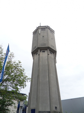 Teylingen-SiteSurvey-2012-045