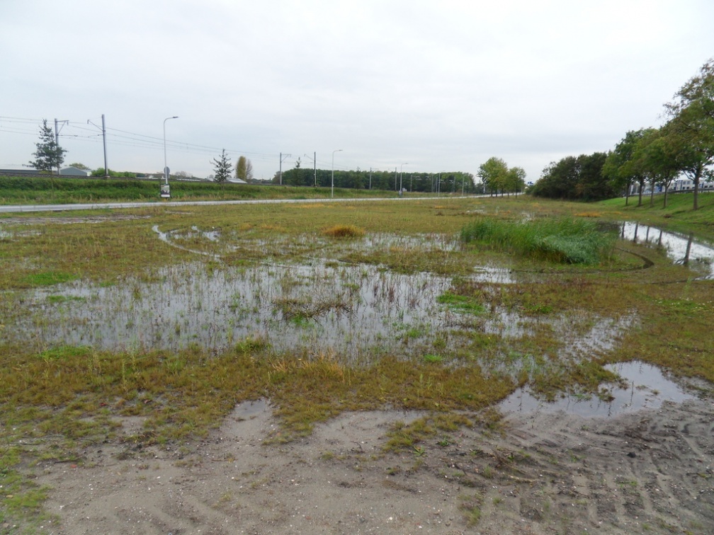 Teylingen-SiteSurvey-2012-048