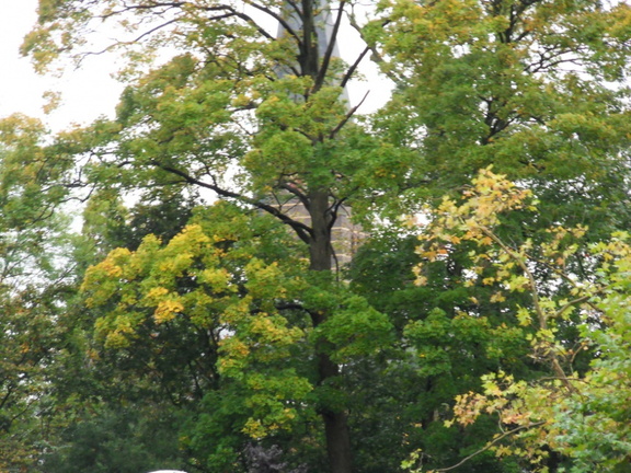 Teylingen-SiteSurvey-2012-074