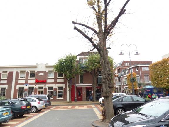 Teylingen-SiteSurvey-2012-082