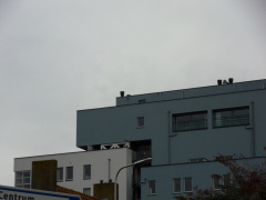 Teylingen-SiteSurvey-2012-083