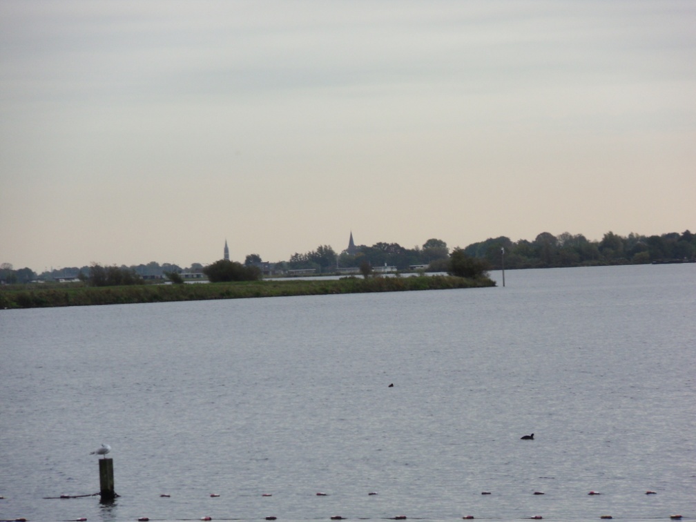 Teylingen-SiteSurvey-2012-103