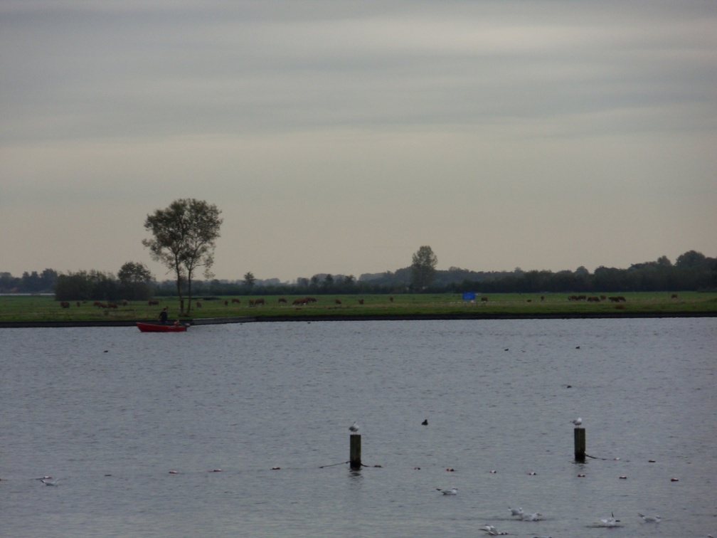 Teylingen-SiteSurvey-2012-104
