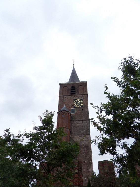 Teylingen-SiteSurvey-2012-113