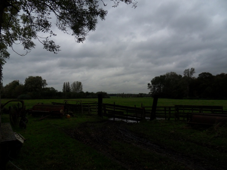 Teylingen-SiteSurvey-2012-115