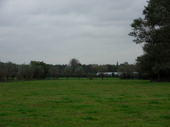 Teylingen-SiteSurvey-2012-117