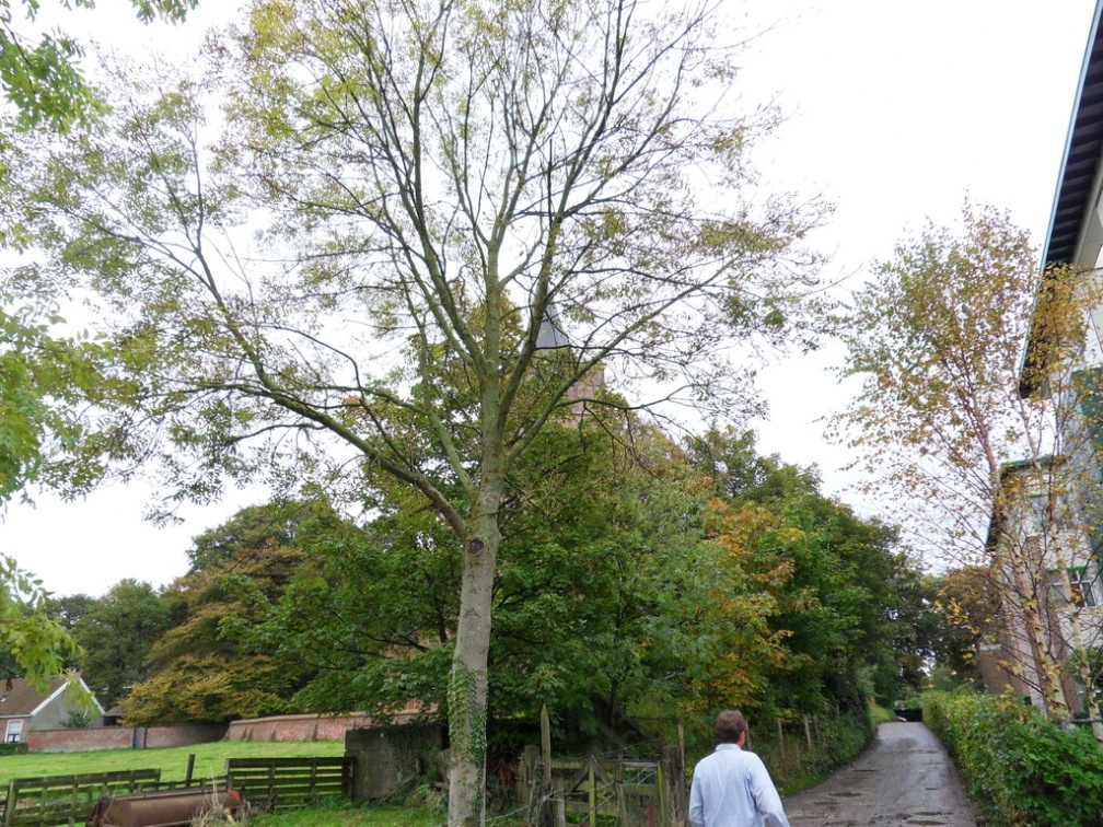 Teylingen-SiteSurvey-2012-118