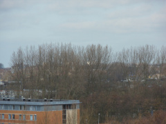 SDC10294