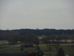 SDC10315